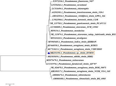 Characterization and Cytotoxicity of Pseudomonas Mediated Rhamnolipids Against Breast Cancer MDA-MB-231 Cell Line